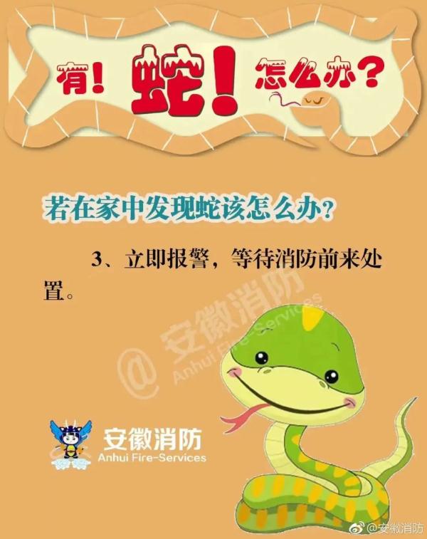 “眼镜蛇”惊现佛山民居！遇到怎么办？