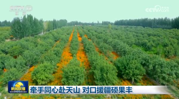 牵手同心赴天山 对口援疆硕果丰