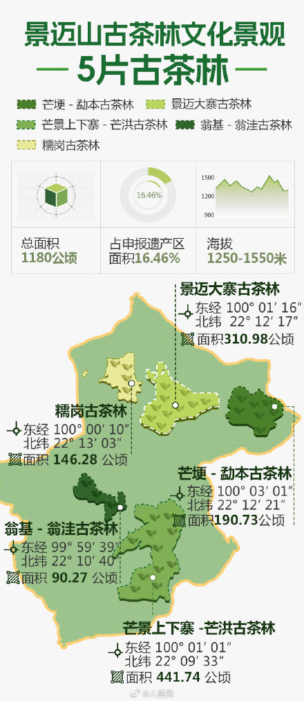 9图了解世界遗产普洱景迈山古茶林 9图了解世界遗产普洱景迈山古茶林