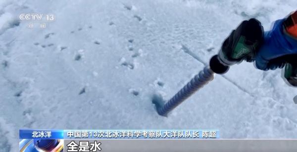 “右前方600米,发现北极熊!” 北冰洋科考队如何应对? “右前方600米,发现北极熊!” 北冰洋科考队如何应对?