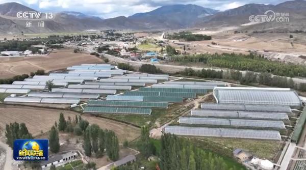 牵手同心赴天山 对口援疆硕果丰