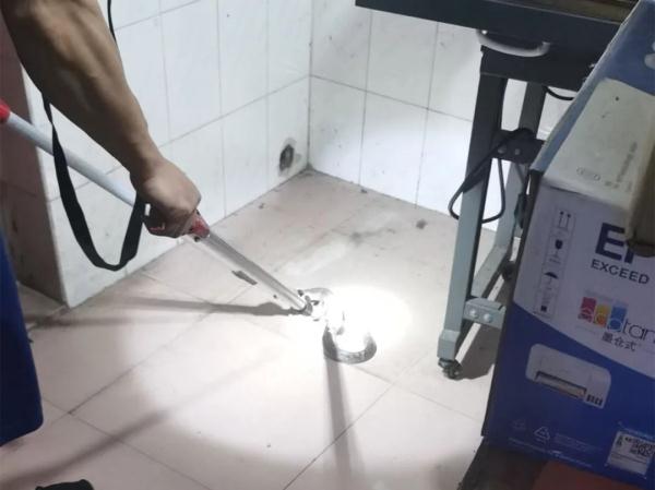 “眼镜蛇”惊现佛山民居！遇到怎么办？