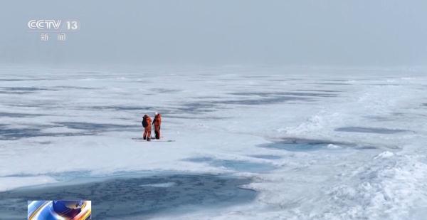 “右前方600米,发现北极熊!” 北冰洋科考队如何应对? “右前方600米,发现北极熊!” 北冰洋科考队如何应对?