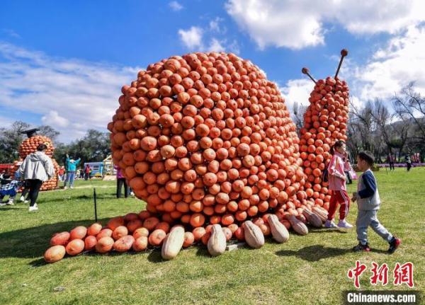 巨型南瓜狂欢节亮相乌鲁木齐 巨型南瓜狂欢节亮相乌鲁木齐