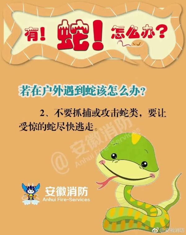 “眼镜蛇”惊现佛山民居！遇到怎么办？