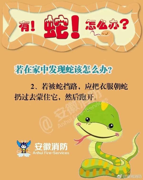 “眼镜蛇”惊现佛山民居！遇到怎么办？