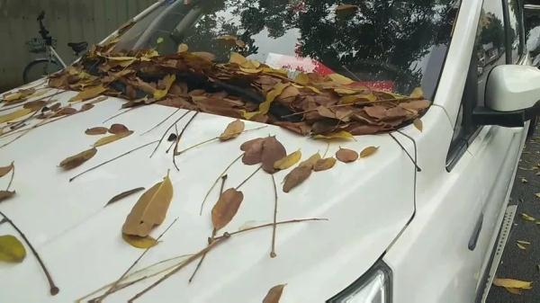 雨后爱车如何保养？很多人都忽视了！