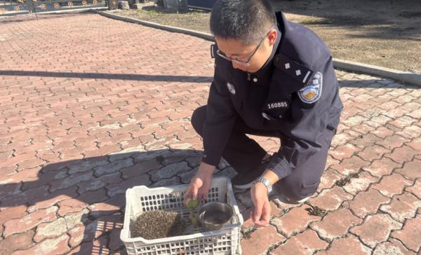 小刺猬“迷路”蜷缩路边，民警及时救助放归自然