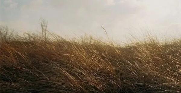 注意防范！沈阳局地大雨到暴雨！瞬时风力可达12级！时间就在…