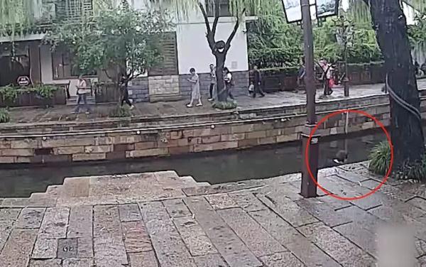 确认了!黑衣女子是合肥人! 确认了!黑衣女子是合肥人!