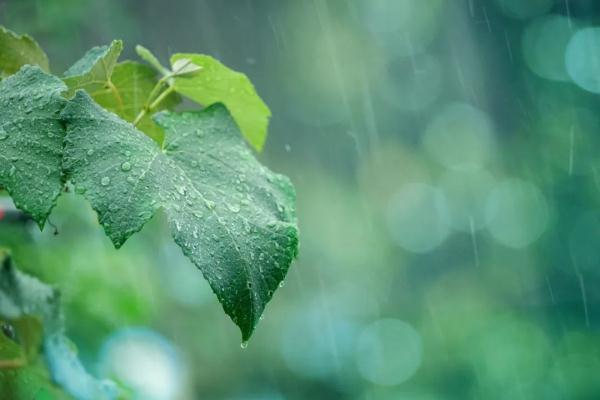 气温骤降，西安暴雨时间确定！注意，上班时间有变→