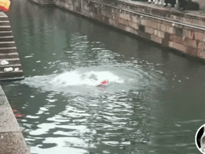 原来跳水救人的是她！