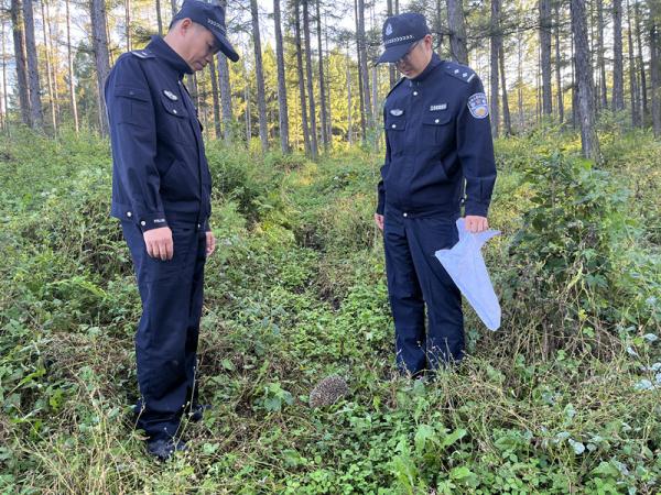 小刺猬“迷路”蜷缩路边，民警及时救助放归自然