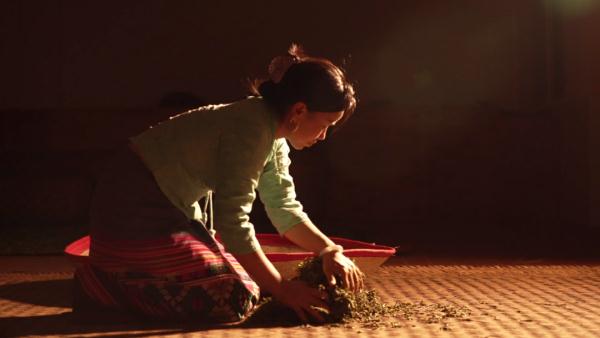 世界遗产“上新啦”！为您深度解读它