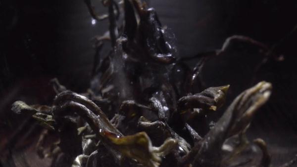 世界遗产“上新啦”！为您深度解读它