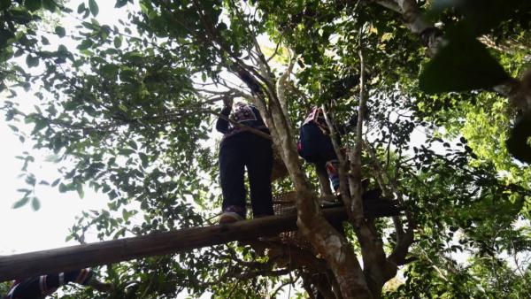 世界遗产“上新啦”！为您深度解读它