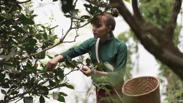世界遗产“上新啦”！为您深度解读它