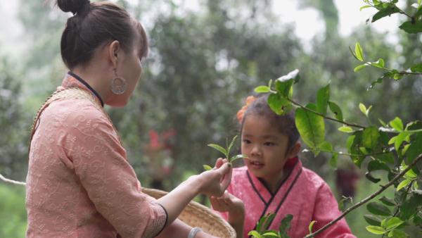 世界遗产“上新啦”！为您深度解读它