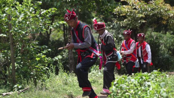 世界遗产“上新啦”！为您深度解读它