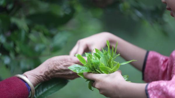 世界遗产“上新啦”！为您深度解读它