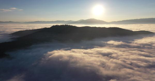 世界遗产“上新啦”！为您深度解读它