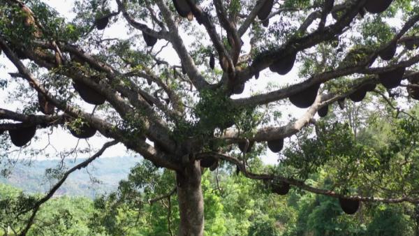 世界遗产“上新啦”！为您深度解读它