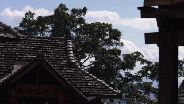 世界遗产“上新啦”！为您深度解读它