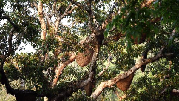 世界遗产“上新啦”！为您深度解读它