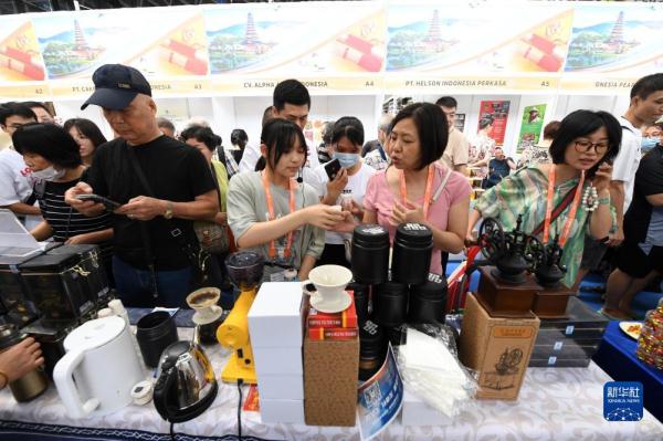 第20届中国—东盟博览会迎来公众开放日