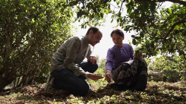 世界遗产“上新啦”！为您深度解读它