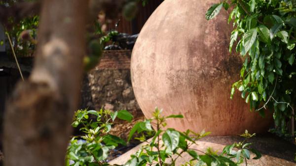 世界遗产“上新啦”！为您深度解读它