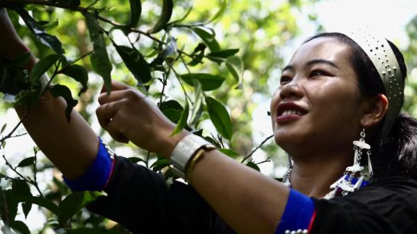 世界遗产“上新啦”！为您深度解读它