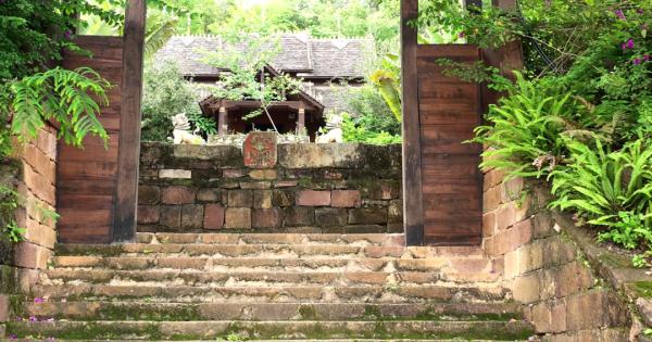 世界遗产“上新啦”！为您深度解读它