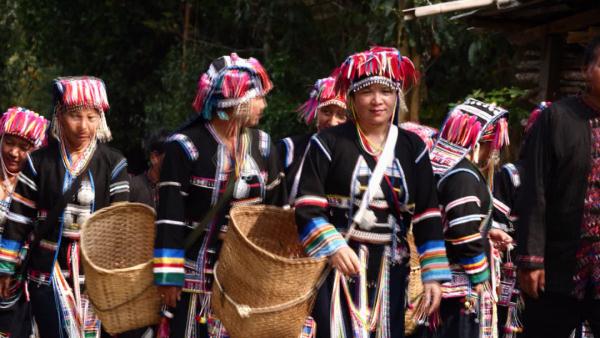 世界遗产“上新啦”！为您深度解读它