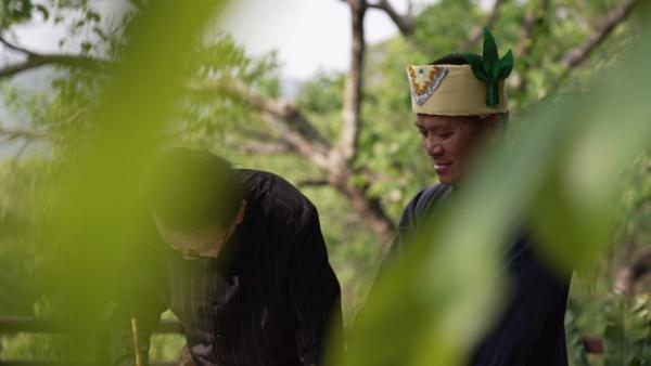 世界遗产“上新啦”！为您深度解读它