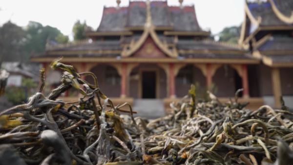 世界遗产“上新啦”！为您深度解读它