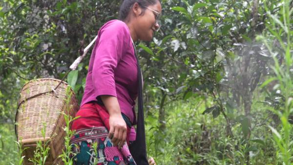 世界遗产“上新啦”！为您深度解读它