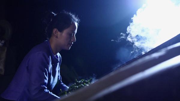 世界遗产“上新啦”！为您深度解读它