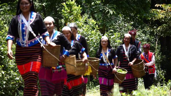 世界遗产“上新啦”！为您深度解读它