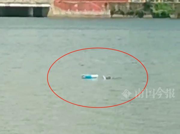 柳江河中央,这东西突然翻出水面!被拍下举报了 柳江河中央,这东西突然翻出水面!被拍下举报了