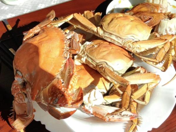 吃海鲜、大闸蟹，这些安全知识得先了解……