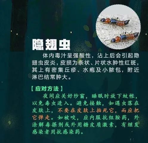 远离！别碰！福州已有人受伤！