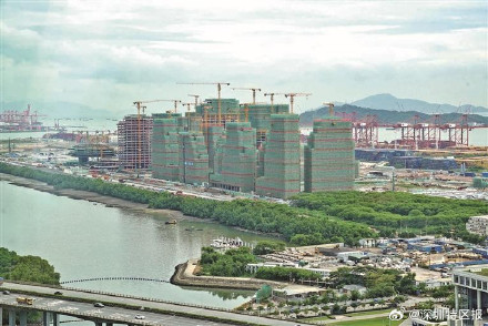 深圳企鹅岛雏形初现 深圳企鹅岛雏形初现