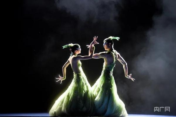 杨丽萍回应《孔雀》舞剧争议