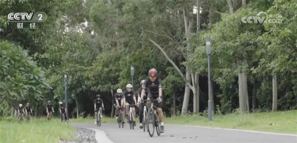 核心零部件国产化率提升 公路自行车价格门槛明显降低 核心零部件国产化率提升 公路自行车价格门槛明显降低