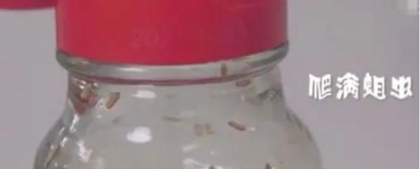 “酱油生虫”频发！你家的酱油可要小心了！