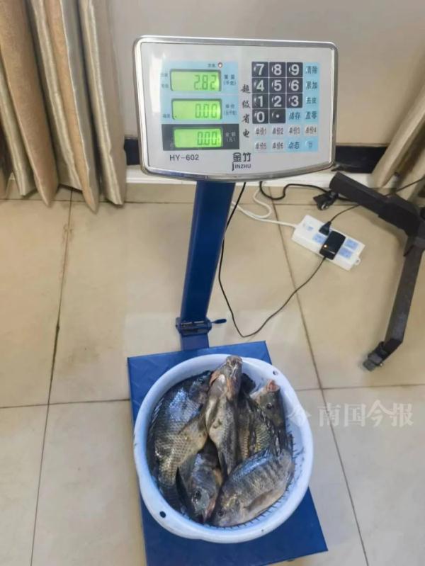 柳江河中央,这东西突然翻出水面!被拍下举报了 柳江河中央,这东西突然翻出水面!被拍下举报了