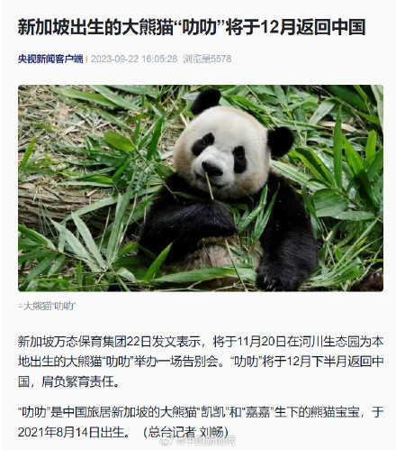 大熊猫叻叻12月返回中国