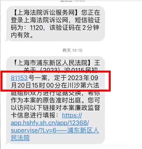 上海迪士尼被告上法庭