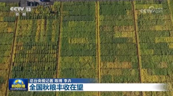 【在希望的田野上】全国秋粮丰收在望